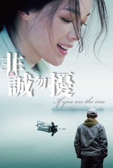 IF YOU ARE THE ONE (FEI CHENG WU RAO) ผิดรักหัวใจหลงลึก