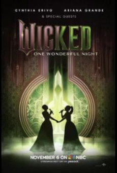 Wicked One Wonderful Night