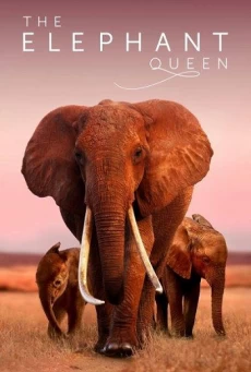 THE ELEPHANT QUEEN อัศจรรย์ราชินีแห่งช้าง
