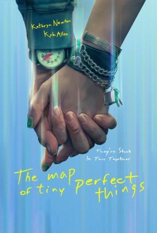 THE MAP OF TINY PERFECT THINGS 