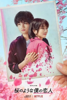 LOVE LIKE THE FALLING PETALS ใบไม้ผลิที่ไม่มีเธอเป็นซากุระ