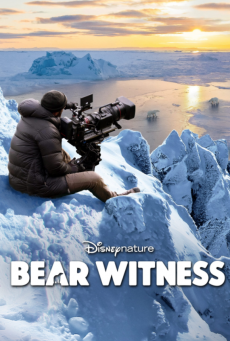 BEAR WITNESS
