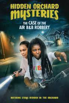 HIDDEN ORCHARD MYSTERIES: THE CASE OF THE AIR B AND B ROBBERY