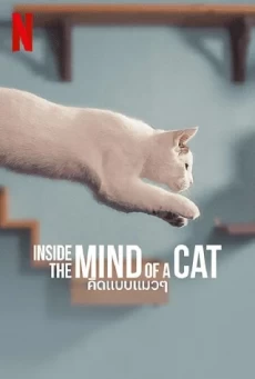 INSIDE THE MIND OF A CAT คิดแบบแมวๆ