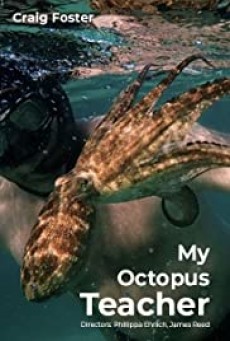 MY OCTOPUS TEACHER - NETFLIX บทเรียนจากปลาหมึก