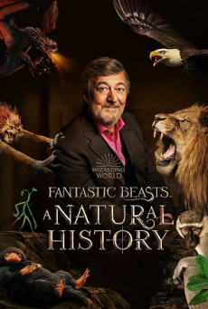 FANTASTIC BEASTS: A NATURAL HISTORY บรรยายไทย